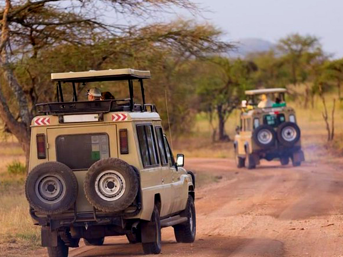 Top Visited National Parks in East Africa